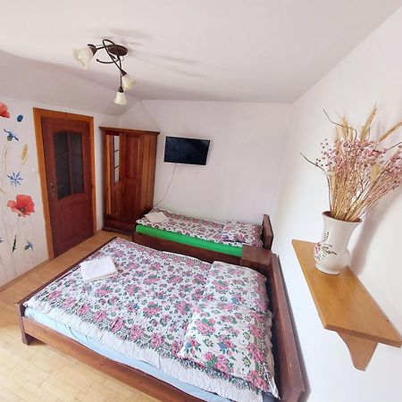 Villa Wisniowy Gaj à Ujanowice Extérieur photo